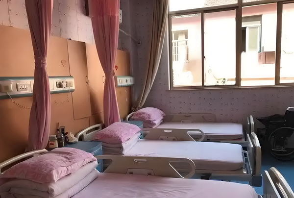 深圳毕业生入户中心_从吃瓜到宣发，有多少人泡在B站影视区？ 小没系有关这与的大公司