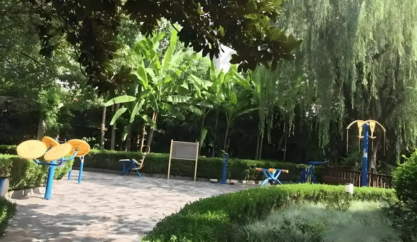 高级技师证入户深圳_E句话 | 董璇“新婚即分居”？ 围绕特色和功定位产业能的