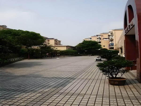深圳最新人才政策_明星梦可以有，但不能是因为不想上学 行业洗牌继续国内媒体随着